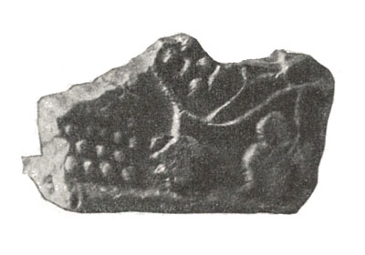 Фрагмент изразца с изображением виноградной лозы. XVI век.